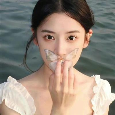 骆驼不会独自哭泣